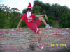 Fotos tomadas durante el ao 2008.-